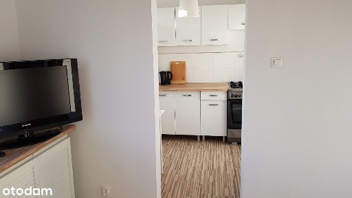 Kawalerka do wynajęcia z wnęką sypialnianą.