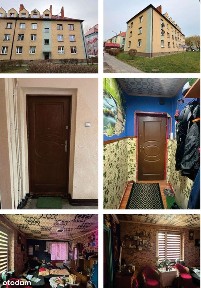 Lokal mieszkalny - Knurów