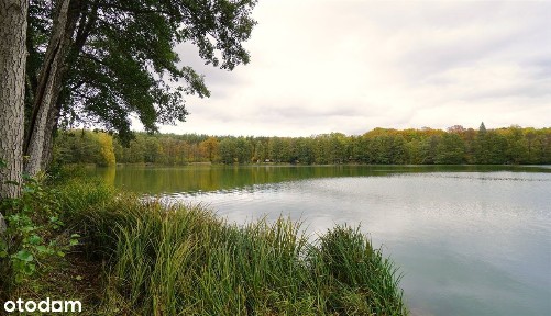 Niewielki dom w pobliżu jeziora w cenie mieszkani