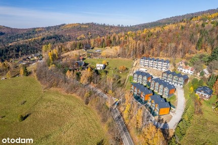 Mieszkanie, 77 m², Wisła