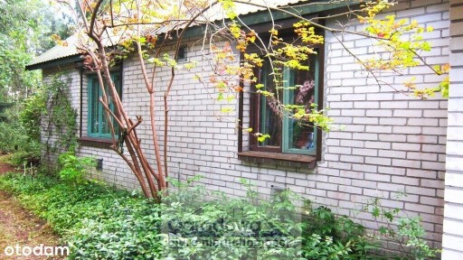 Dom w leśnej okolicy, 6 cio izbowy