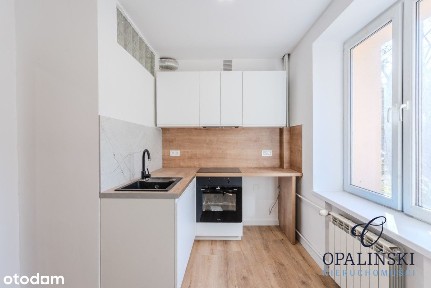 Cisza | Spokój | Las