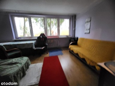 ul. Antoniego Czechowa, Wawrzyszew, Bielany, Warszawa, mazowieckie