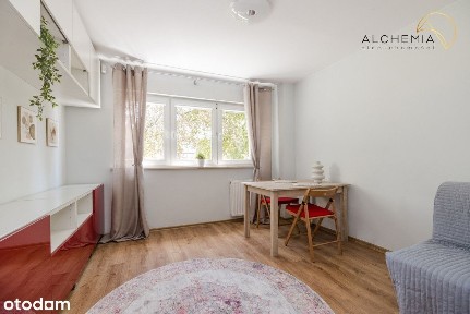 Dla miłośników spacerów po lesie