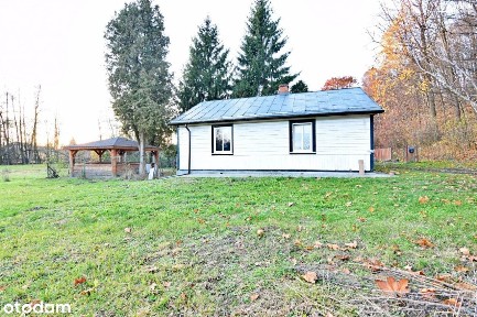 Wyjątkowe siedlisko z potencjałem - Wojciechów Kol