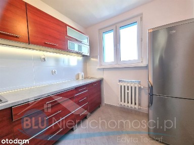 Głogów, ul. Niedziałkowskiego, 3 pok, wynajem