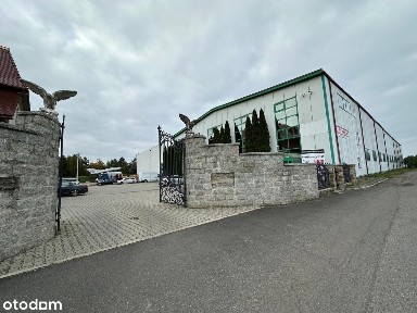 ul. Sosnowa, Żory, śląskie