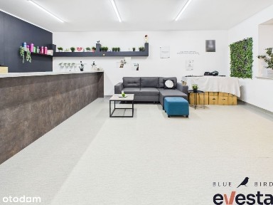 Głuszyca, wałbrzyski, dolnośląskie