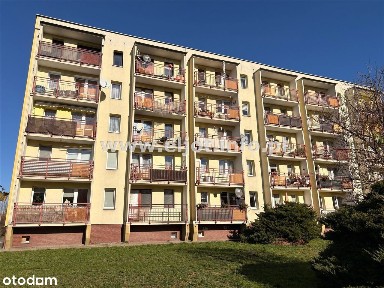 2 niezależne pokoje, z idealnym widokiem pod lase