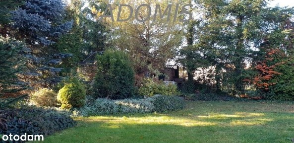 PLEWISKA stylowy, elegancki, wolnostojący, poddasze, cisza