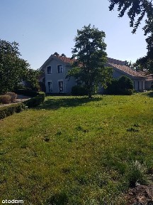 ul. Szkolna, Suchy Las, poznański, wielkopolskie