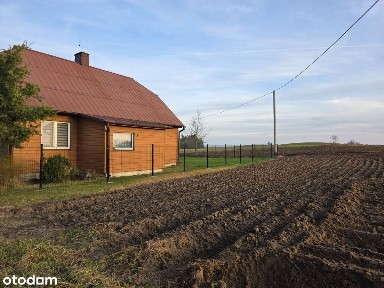 Siedlisko, Jabłońskie, Las