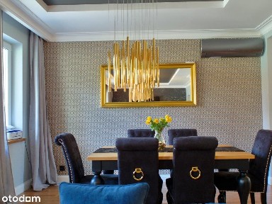 Rezydencja pod Płockiem