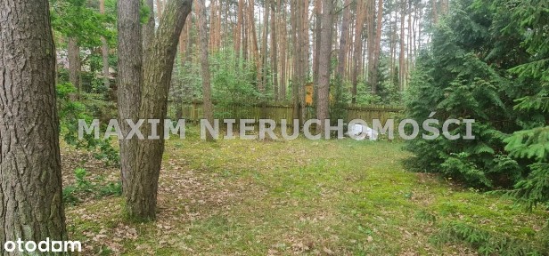 Działka z domkiem letniskowym Królewo/Joniec