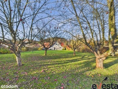 Głuszyca, wałbrzyski, dolnośląskie