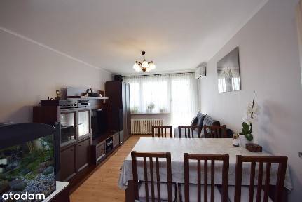 Mieszkanie nad Odrą z widokiem na Amfiteratr