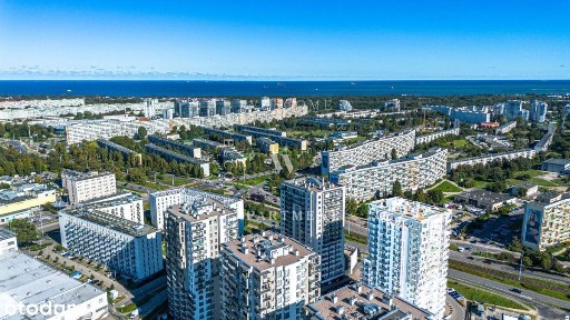 Albatross | Zysk i Ogród!