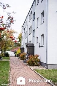 Wynajmę mieszkanie - Szczaniec