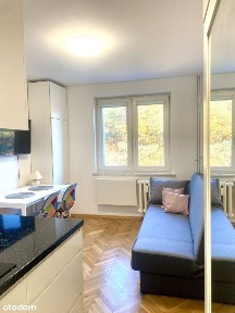 Kawalerka z widokiem na ścianę lasu