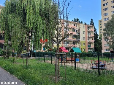 ul. Zenona Klemensiewicza, Pomorzany, Zachód, Szczecin, zachodniopomorskie