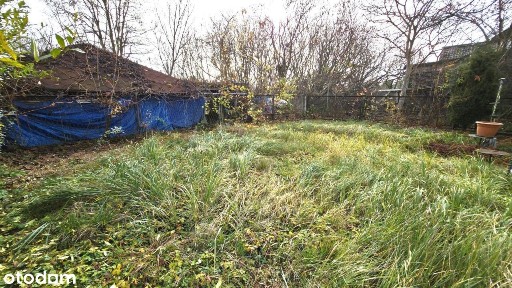 Dziewiąty, Zielona Pogoria, Dąbrowa Górnicza, śląskie