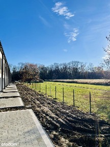 A może lepiej dom w cenie mieszkania - bez czynszu, z ogródkiem!