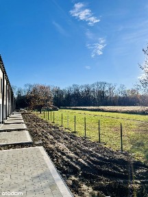 A może lepiej dom w cenie mieszkania - bez czynszu, z ogródkiem!