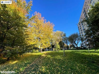 Złote Łany, Bielsko-Biała, śląskie