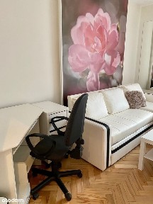 Ligota-Panewniki, Katowice, śląskie