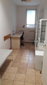 Wielkopolskie, Poznań, Ogrody