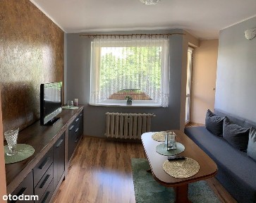 Do wynajęcia, Bukowe, śliczne dwa pokoje, 32,60m2