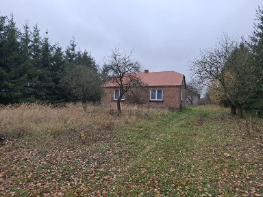 Sprzedam siedlisko w Rozkopaczewie