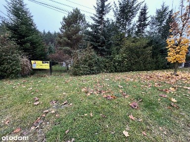 Twój Azyl! Dom z ogrodem i warsztatem przy lesie.