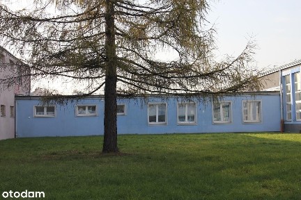 ul. Chorzowska, Dzierzków, Radom, mazowieckie