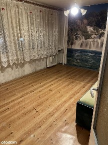 ul. Xawerego Dunikowskiego, Pomorzany, Zachód, Szczecin, zachodniopomorskie