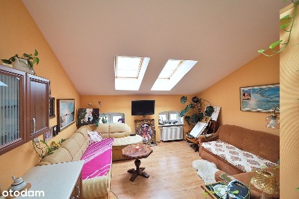 Studio z potencjałem inwestycyjnym przy ul. Budowlanej w Kołobrzegu