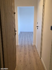 Śródmieście, Gliwice, śląskie