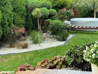 Mikołów, mikołowski, śląskie