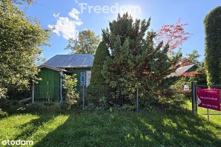 Urokliwe siedlisko nad Bugiem - Derło, gm. Rokitno