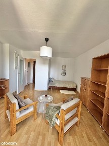 Załęska Hałda-Brynów, Katowice, śląskie