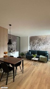 REZERWACJA, 3 pokojowe mieszkanie na wynajem - Centrum Bielska-Białej