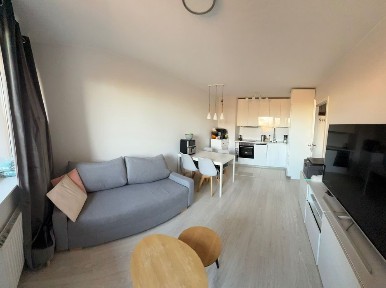 Mieszkanie 3 pokoje Kleczkowska do wynajęcia