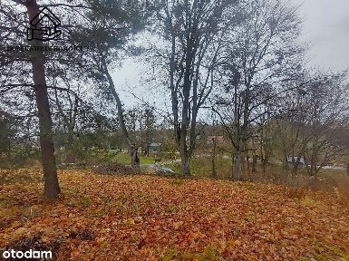 Murowane budynki gospodarcze pod działalność.