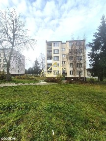 3- pokojowe mieszkanie w obrębie Małego Jezioraka