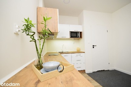 Przytulne, nowoczesne mieszkanie w centrum miasta