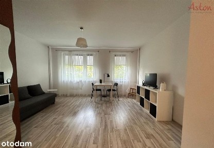 Tychy, kawalerka do wynajęcia, wysoki parter.