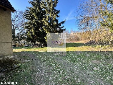 Dom nad jeziorem - pierwsza linia