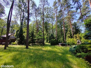 Dom 188m2 w samym sercu lasu Sokolniki-Las