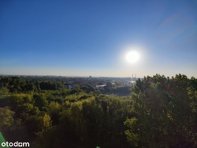 ul. Cieszyńska, Ksawerów, Mokotów, Warszawa, mazowieckie