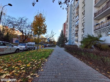 Mokotów -43m2 do wynajęcia